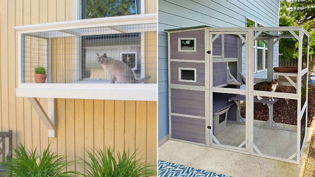 catio ideas for cats